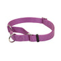 Collier Martingale réglable antidérapant pour chien, Orchidée
