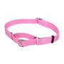 Collier Martingale réglable antidérapant pour chien, Rose vif
