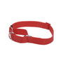 No! Collier martingale ajustable anti-glisse pour chien, Rouge