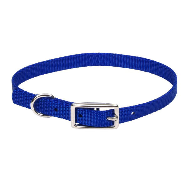 Coastal Single-Ply Dog Collar, Blue