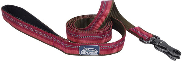 K9 Explorer Reflective Dog Leash with Scissor Snap, Berry