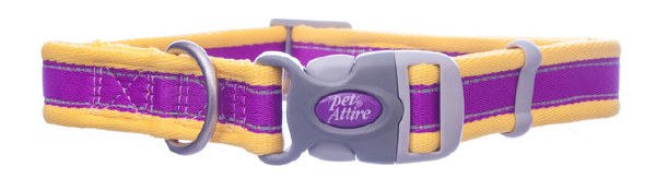 Pro Reflective Collar, Purple Orange