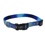 Lazer Brite Collier pour chien à motif, Bleu Multi Os