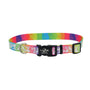 Lazer Brite Collier pour chien à motif, Cœurs Arc-en-ciel
