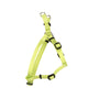 Coastal Comfort Harnais réglable pour chien Wrap, Citron vert