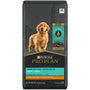 Purina Pro Plan Shredded Blend Chicken & Rice Puppy Dry Dog Food