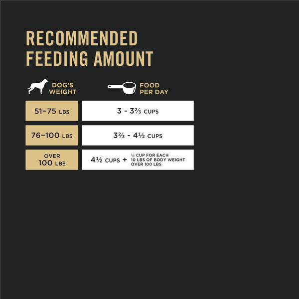Purina Pro Plan Focus Nourriture sèche pour chiens adultes grande race