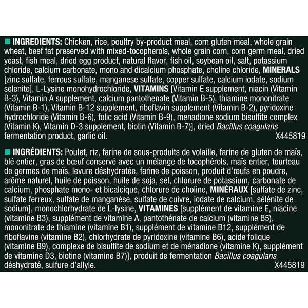 Purina Pro Plan Focus Puppy Chicken & Rice Formula Nourriture sèche pour chiens