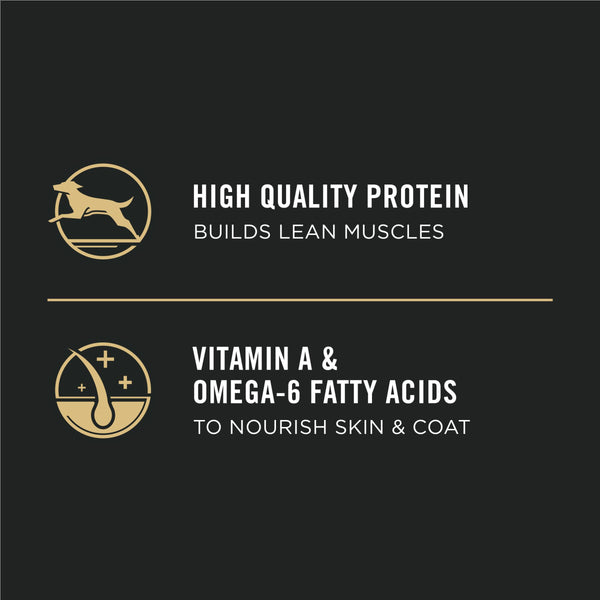 Purina Pro Plan Focus Puppy Chicken & Rice Formula Nourriture sèche pour chiens