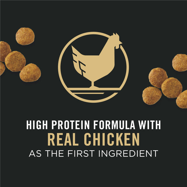 Purina Pro Plan Focus Puppy Chicken & Rice Formula Nourriture sèche pour chiens