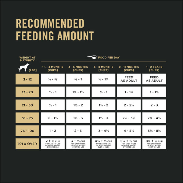 Purina Pro Plan Focus Puppy Chicken & Rice Formula Nourriture sèche pour chiens