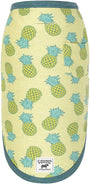 Canada Pooch Follow Me T-shirt pour chien, ananas