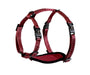 Alcott Adventure Harnais pour chien ajustable, Rouge