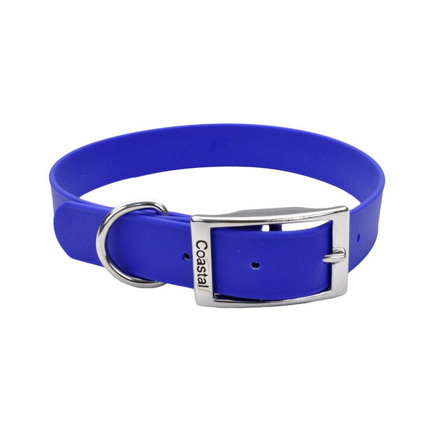 Pro Collier de chien étanche, Bleu