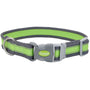 Pro Collier de chien réglable réfléchissant, Vert vif avec gris