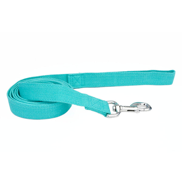 New Earth Soy Dog Leash, Mint