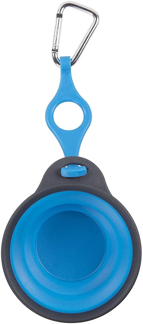Dexas Collapsible Travel Cup with Bottle Holder & Carabiner, Pro Blue