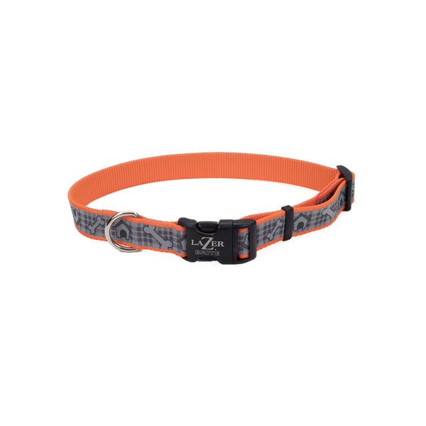 Lazer Brite Collier réglable réfléchissant pour chien, Niches orange