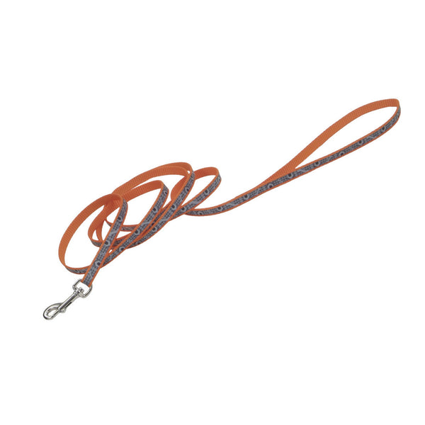 Lazer Brite Reflective Dog Leash, Orange Dog Houses