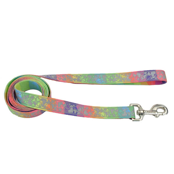 Lazer Brite Patterned Dog Leash, Rainbow Hearts