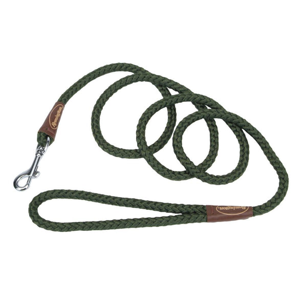 Remington Braided Rope Snap Dog Leash, Green