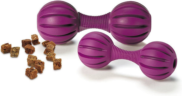 PetSafe Busy Buddy Waggle Dog Toy