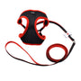 Li'l Pals Mesh Harness and Leash Combo, Black, 3/8-inx10-14-in