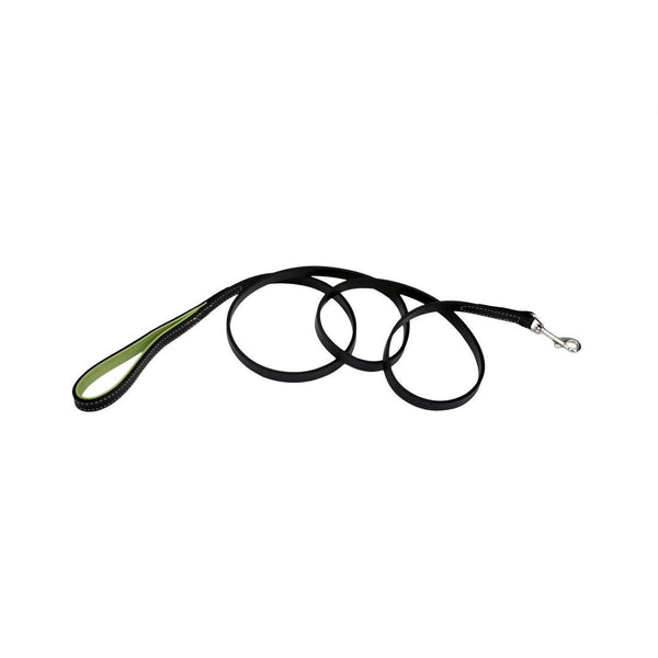 Circle T Fashion Leather Padded Handle Dog Leash, Green