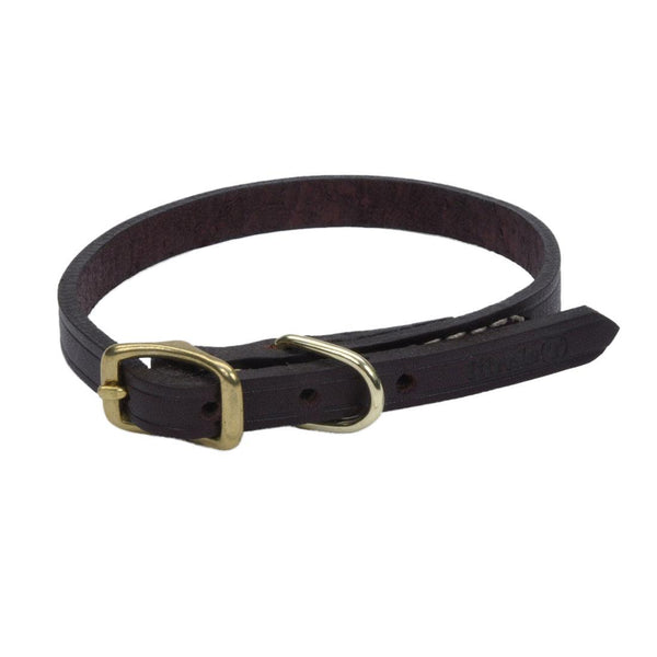 Circle T Latigo Leather Town with Solid Brass Hardware Dog Collar