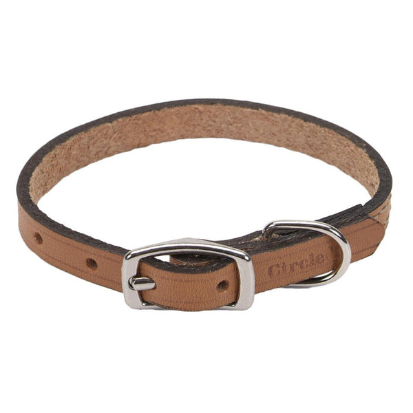 Circle T Oak Tanned Leather Town Dog Collar, Tan