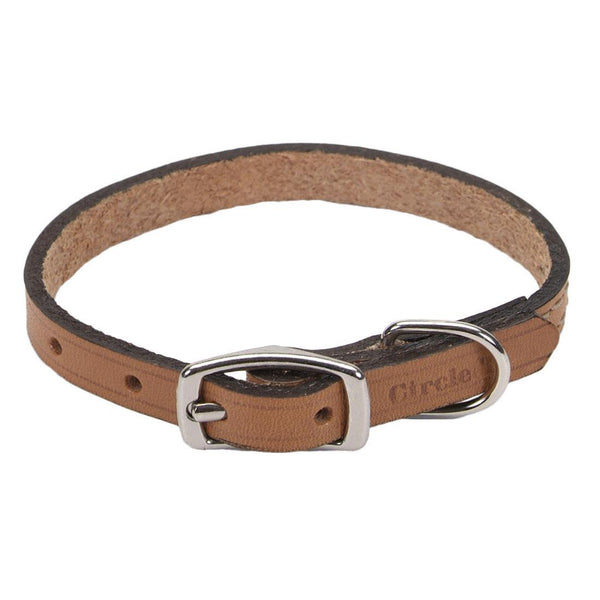 Circle T Oak Tanned Leather Town Dog Collar, Tan