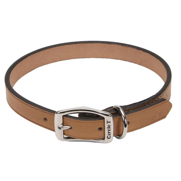 Circle T Oak Tanned Leather Town Dog Collar, Tan