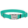 Coastal Collier ajustable avec boucle métallique pour chiens, Sarcelle.