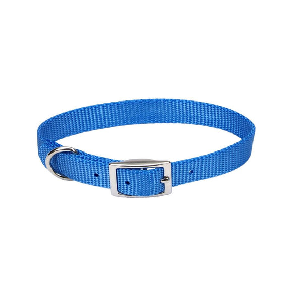 Coastal Single-Ply Dog Collar, Blue Lagoon