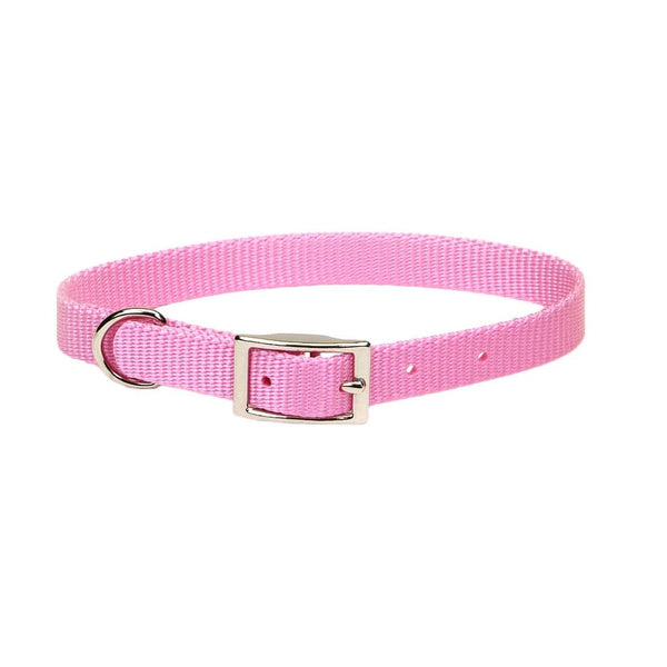 Coastal Single-Ply Dog Collar, Pink Bright