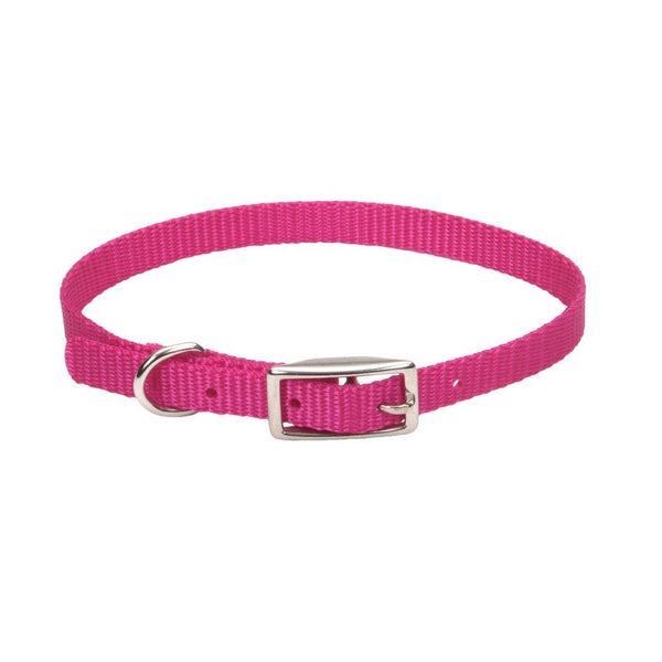 Coastal Single-Ply Dog Collar, Pink Flamingo