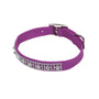 Coastal Collier pour chien orné de bijoux, Orchidée