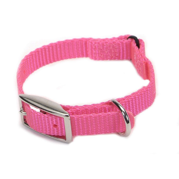 Coastal Safety Cat Collar, Neon Pink