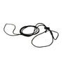 Coastal Harnais et laisse ajustables pour petits animaux, pour lapins, Noir