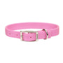 Coastal Collier pour chien double couche, Rose vif