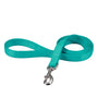 Coastal Laisse pour chien double couche, Sarcelle