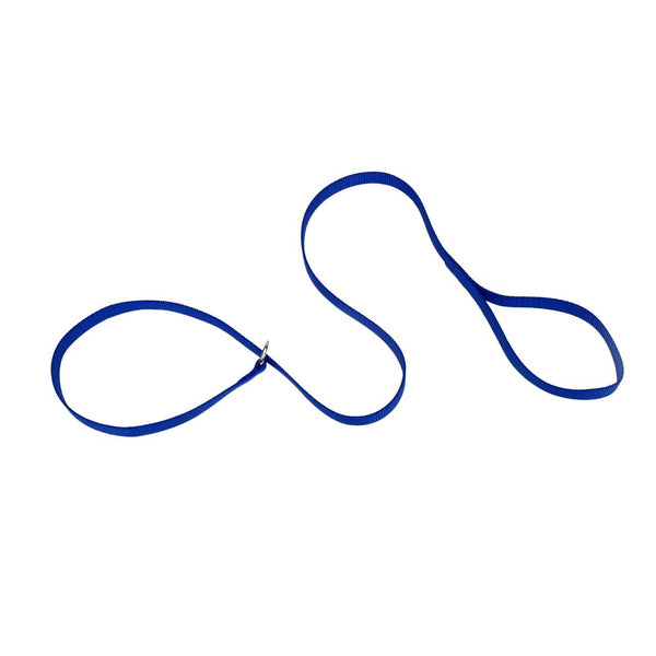 Coastal Kennel Dog Leash, Blue