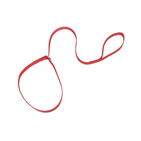 Coastal Kennel Dog Leash, Red