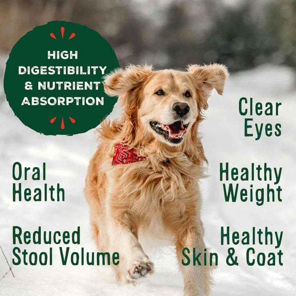 Primal Turkey & Sardine Recipe Nuggets Freeze-Dried Raw Dog Food