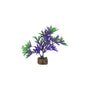 GloFish Plante d'aquarium, Violet/Vert