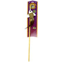 Amazing Pet Products Baguette à teaser avec poisson suspendu, jouet pour chat