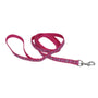 Ribbon Laisse pour chien, Rayure Flamant rose