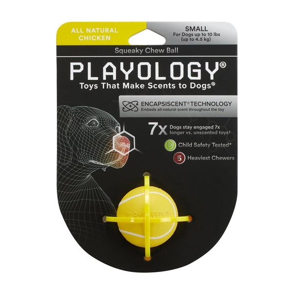 Playology All Natural Chicken Scented Squeaky Chew Ball Dog Toy