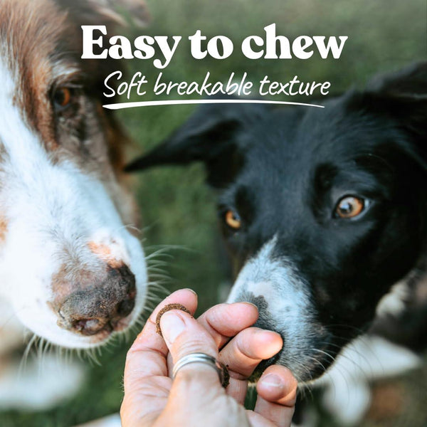 Healthybud Gut Booster Turkey Meat & Liver Dog Treats & Food Topper