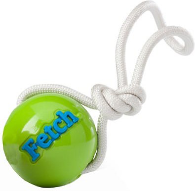 Planet Dog Orbee-Tuff Fetch Ball with Rope Dog Toy, Green